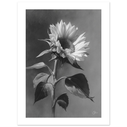 f8a88d6f-62c6-43da-9c1e-a0217f9d94ef