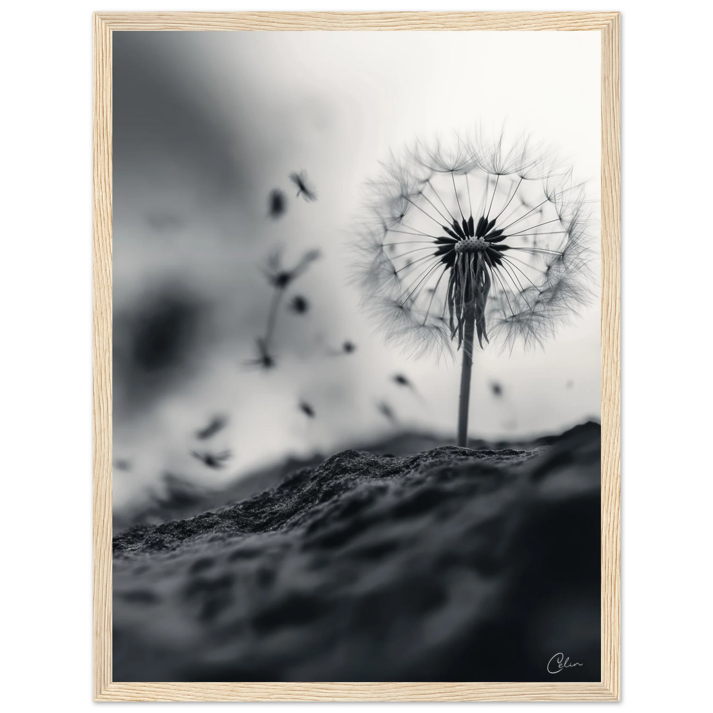 f905f833-661a-41a4-ba4b-ba8b6fb41d4b