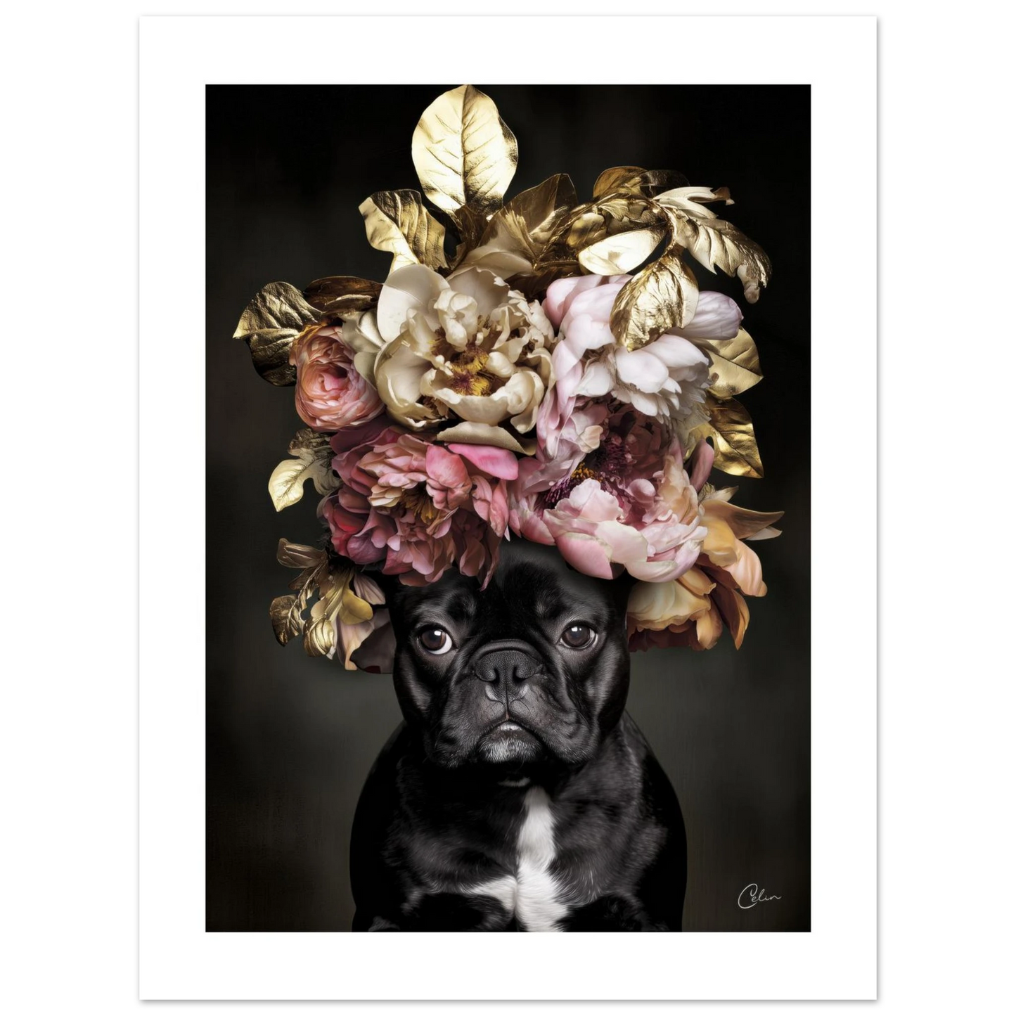 fa839b13-32ff-4101-a278-a3f2b66fed34