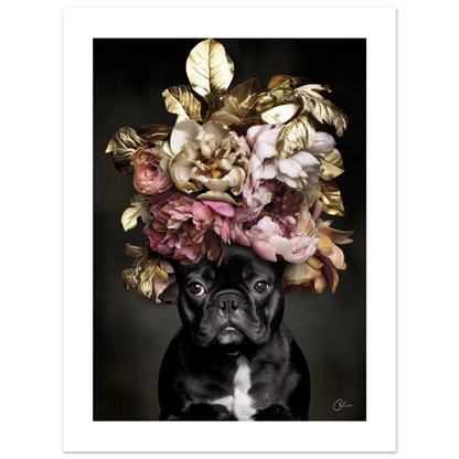 fa839b13-32ff-4101-a278-a3f2b66fed34