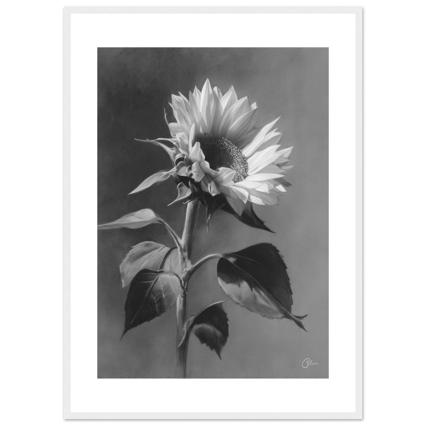 fb3861d2-670d-4df6-b45e-56ead96fc95f