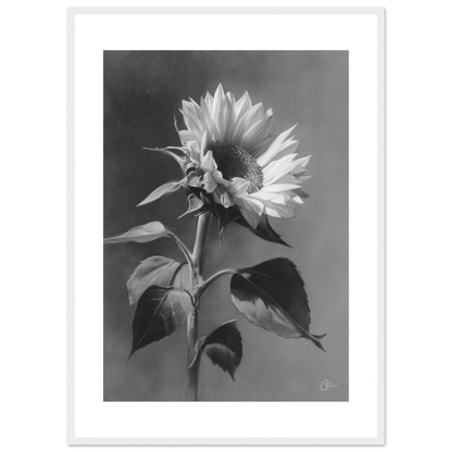 fb3861d2-670d-4df6-b45e-56ead96fc95f