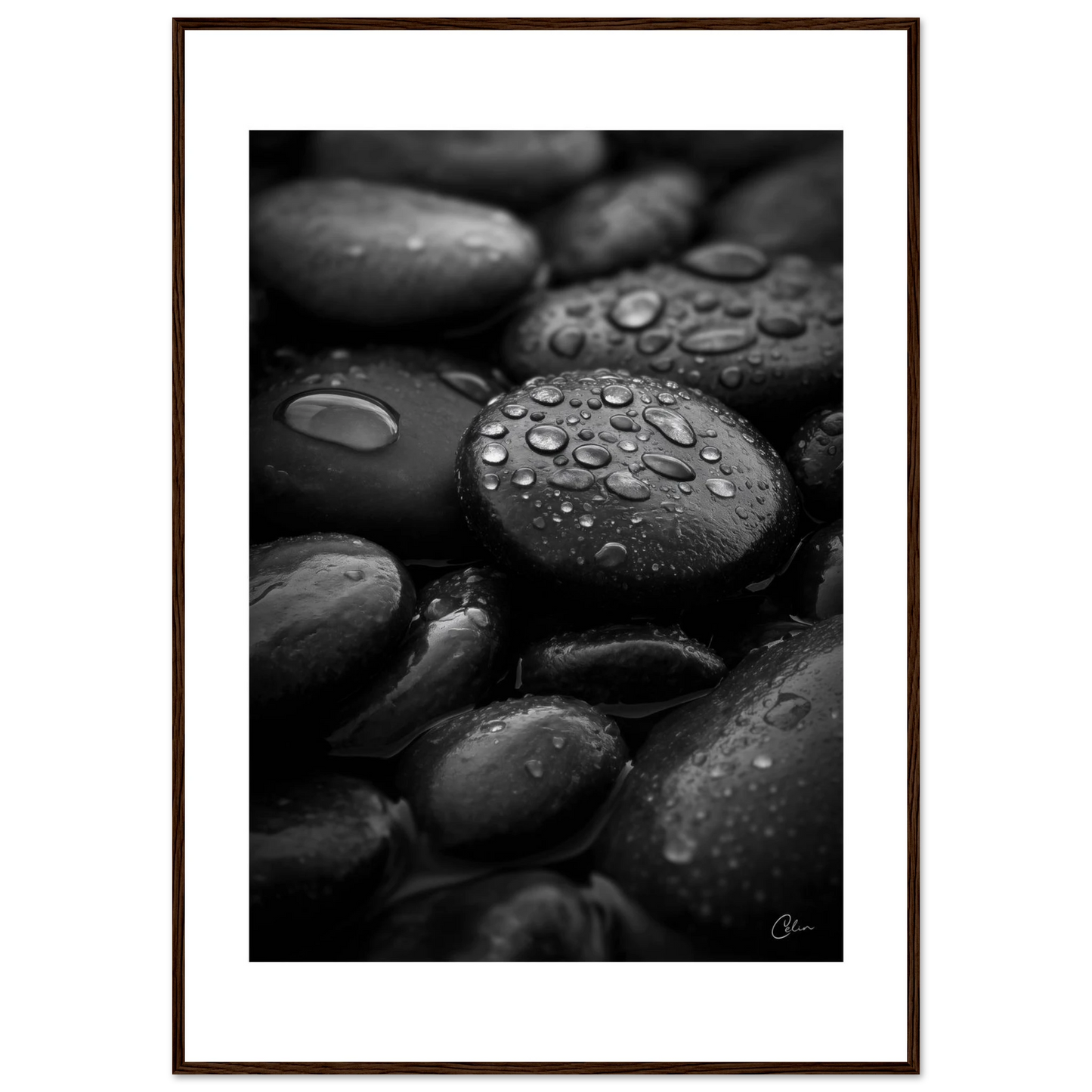 fb913342-403f-4d16-a2fe-f59aafc3ebd7