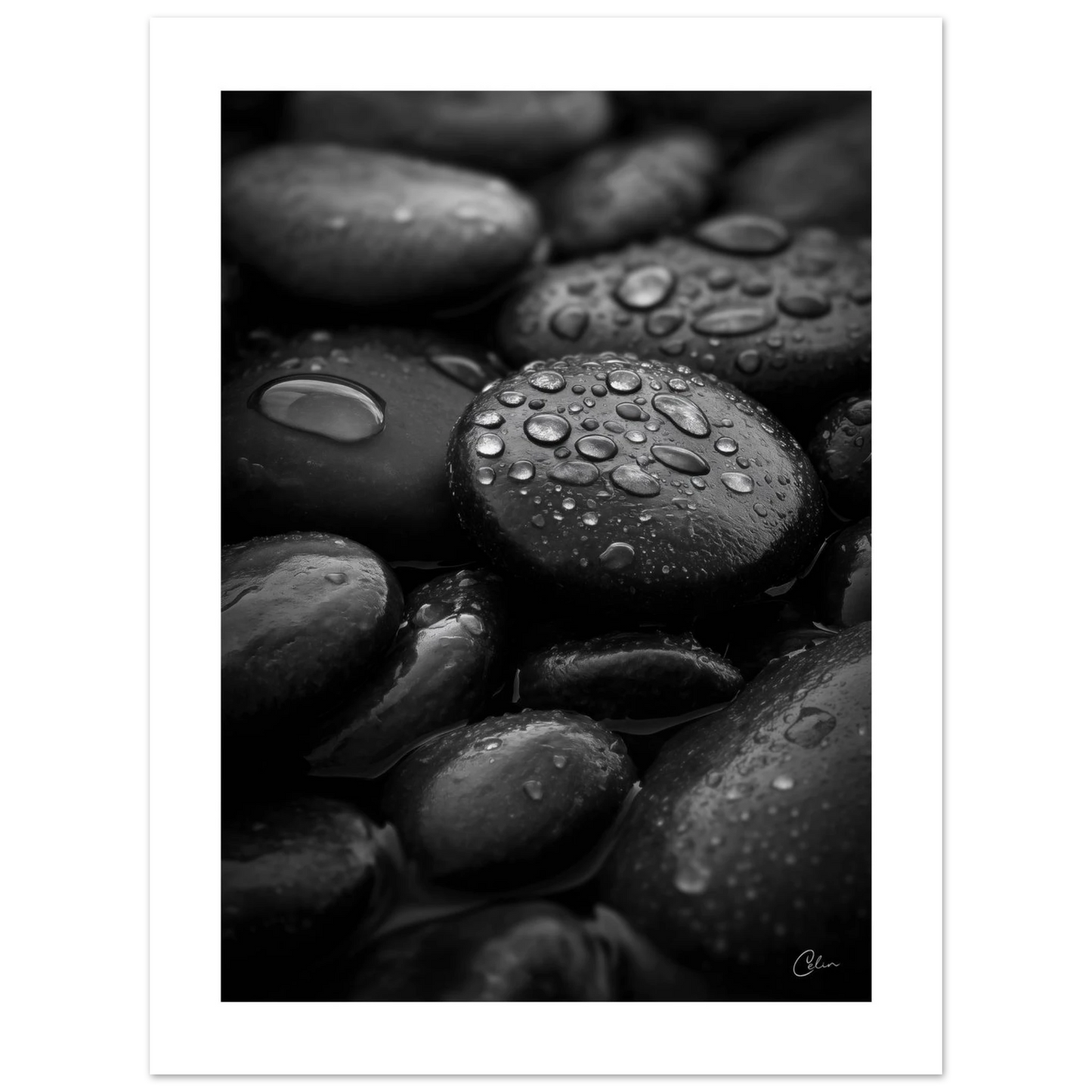 ff4d22c4-7bb7-46bd-b298-172353cb341d